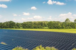 Placas solares para energía solar en el campo