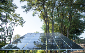 Paneles solares transparentes: solución innovadora
